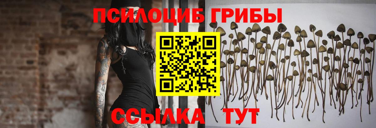 Псилоцибиновые грибы мицелий Советский